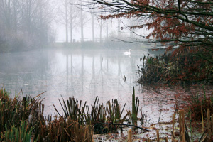 Parc Saint Pierre Amiens