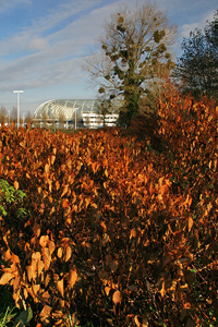 Stade de la Licorne Amiens