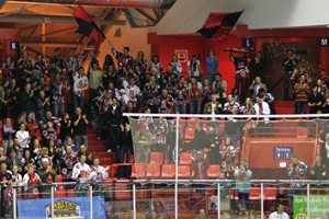 Supporters des gothiques d'Amiens